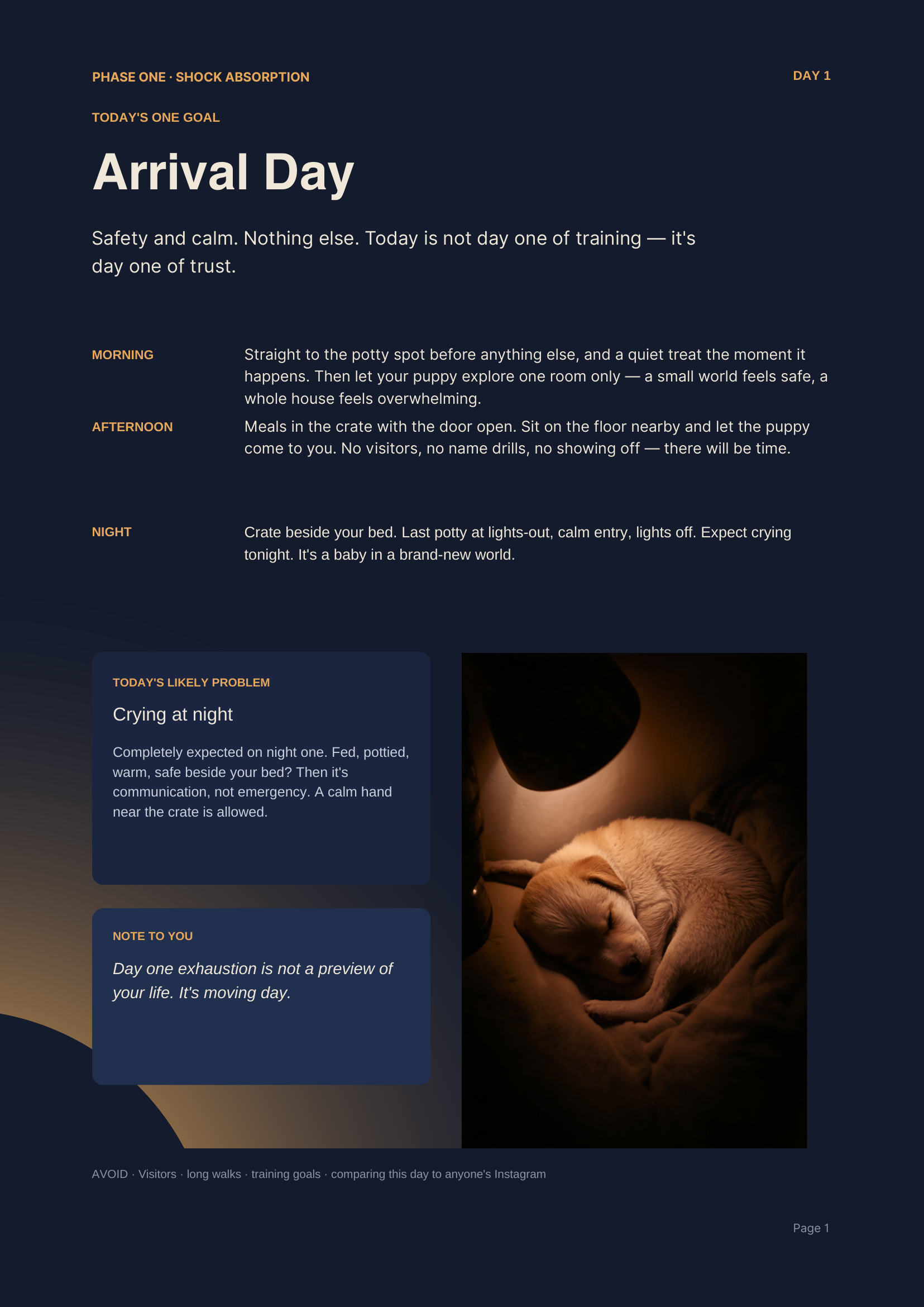 A day-by-day page from the protocol